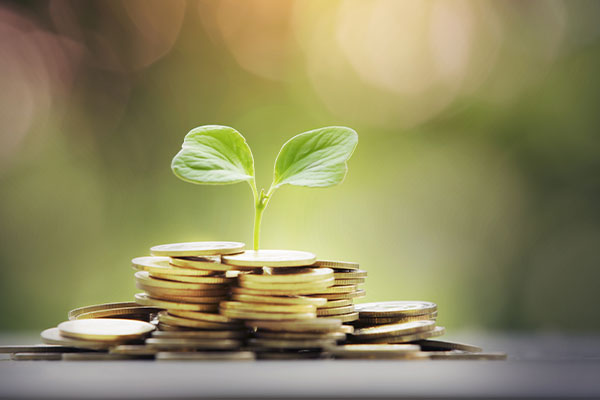 A small plant growing out of a pile of coins