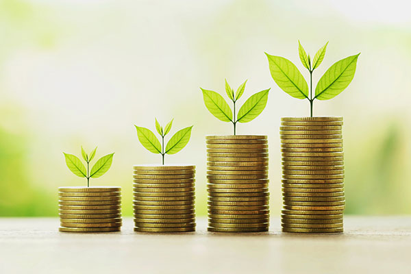 Stacks of coins with small plants growing out of them